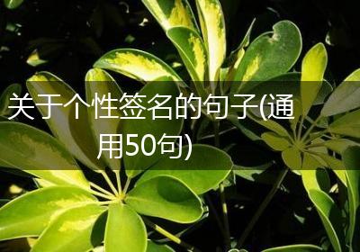 关于个性签名的句子(通用50句)