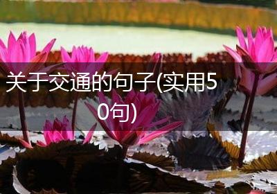 关于交通的句子(实用50句)