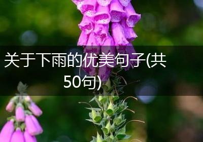 关于下雨的优美句子(共50句)