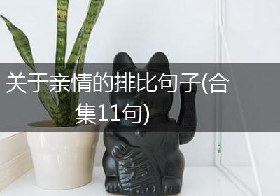 关于亲情的排比句子(合集11句)