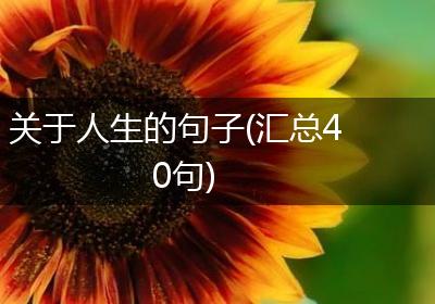 关于人生的句子(汇总40句)