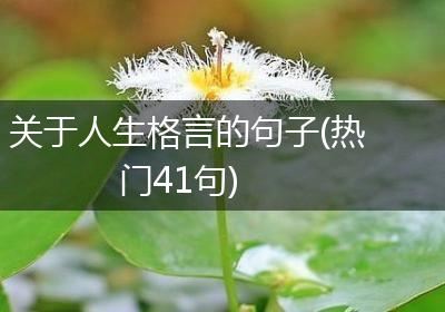 关于人生格言的句子(热门41句)