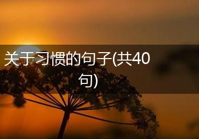 关于习惯的句子(共40句)