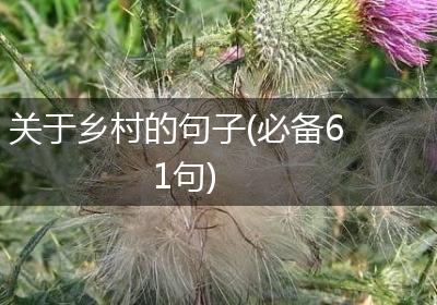 关于乡村的句子(必备61句)
