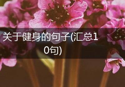 关于健身的句子(汇总10句)