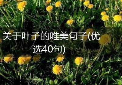 关于叶子的唯美句子(优选40句)