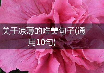 关于凉薄的唯美句子(通用10句)