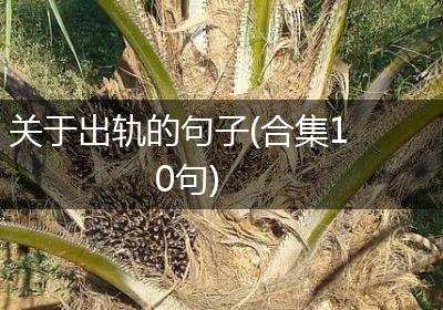 关于出轨的句子(合集10句)
