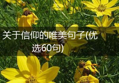 关于信仰的唯美句子(优选60句)