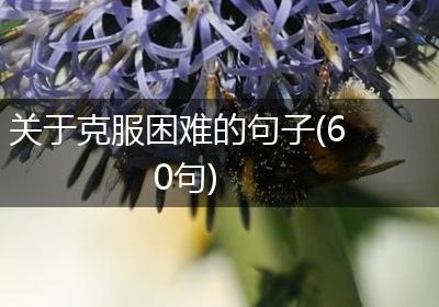 关于克服困难的句子(60句)