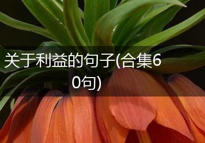 关于利益的句子(合集60句)