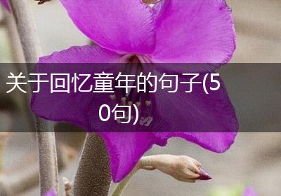 关于回忆童年的句子(50句)