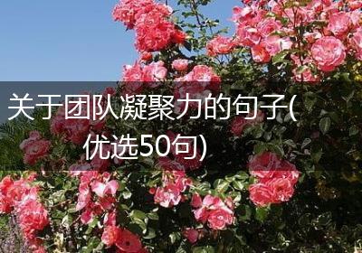 关于团队凝聚力的句子(优选50句)
