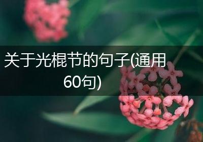关于光棍节的句子(通用60句)