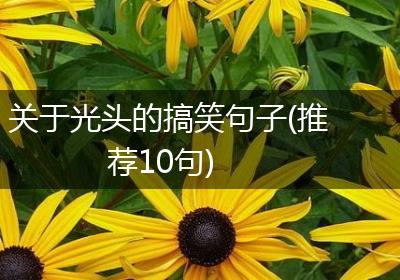 关于光头的搞笑句子(推荐10句)