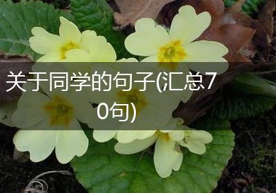 关于同学的句子(汇总70句)