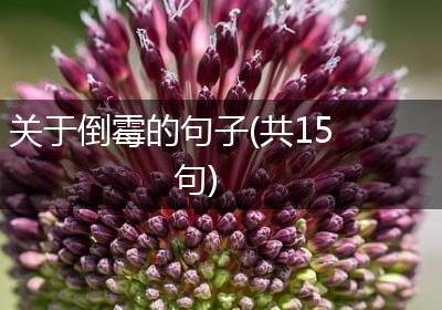 关于倒霉的句子(共15句)