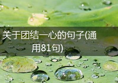 关于团结一心的句子(通用81句)