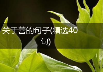 关于善的句子(精选40句)