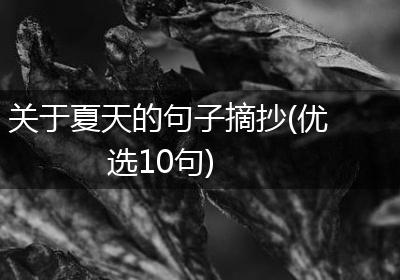 关于夏天的句子摘抄(优选10句)