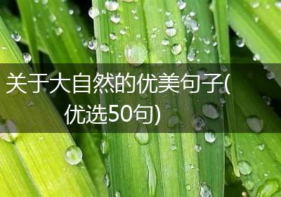 关于大自然的优美句子(优选50句)