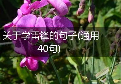 关于学雷锋的句子(通用40句)