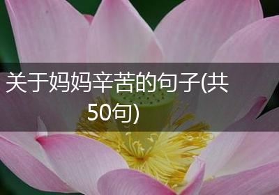 关于妈妈辛苦的句子(共50句)