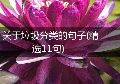 关于垃圾分类的句子(精选11句)