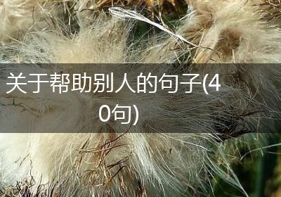 关于帮助别人的句子(40句)