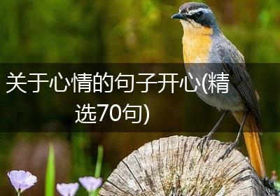 关于心情的句子开心(精选70句)