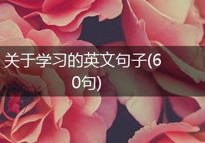 关于学习的英文句子(60句)