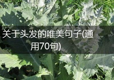 关于头发的唯美句子(通用70句)