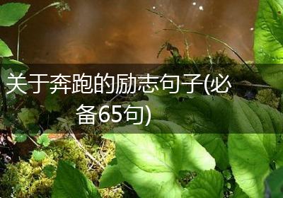 关于奔跑的励志句子(必备65句)