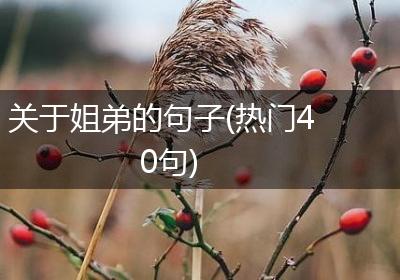 关于姐弟的句子(热门40句)