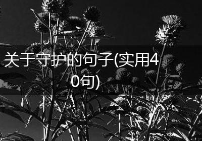 关于守护的句子(实用40句)