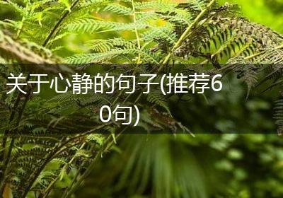 关于心静的句子(推荐60句)