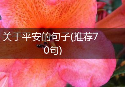 关于平安的句子(推荐70句)