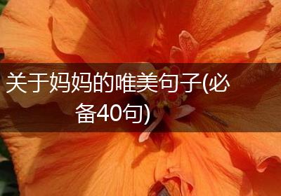 关于妈妈的唯美句子(必备40句)