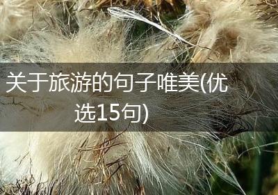 关于旅游的句子唯美(优选15句)