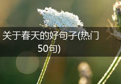 关于春天的好句子(热门50句)