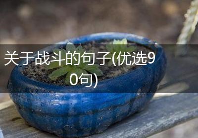 关于战斗的句子(优选90句)