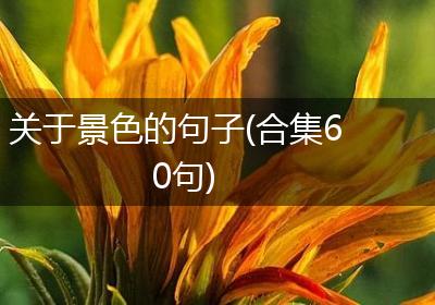 关于景色的句子(合集60句)