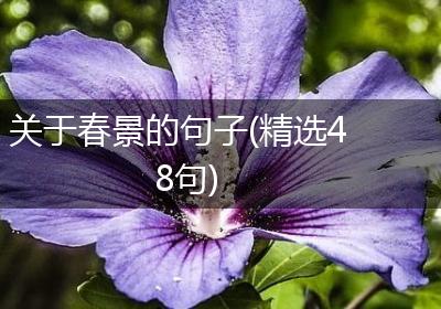 关于春景的句子(精选48句)