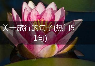 关于旅行的句子(热门51句)