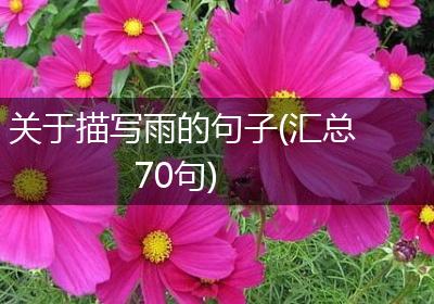 关于描写雨的句子(汇总70句)