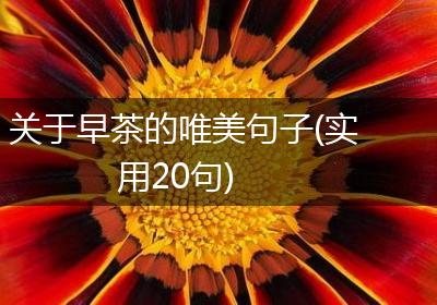 关于早茶的唯美句子(实用20句)