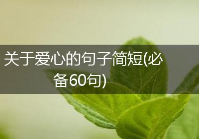 关于爱心的句子简短(必备60句)