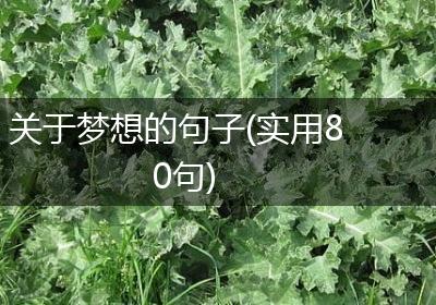 关于梦想的句子(实用80句)