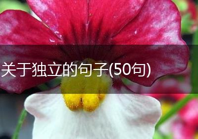 关于独立的句子(50句)