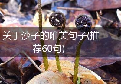 关于沙子的唯美句子(推荐60句)
